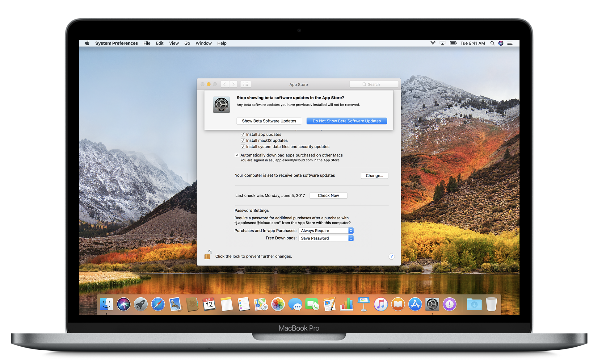 what is macos high sierra update